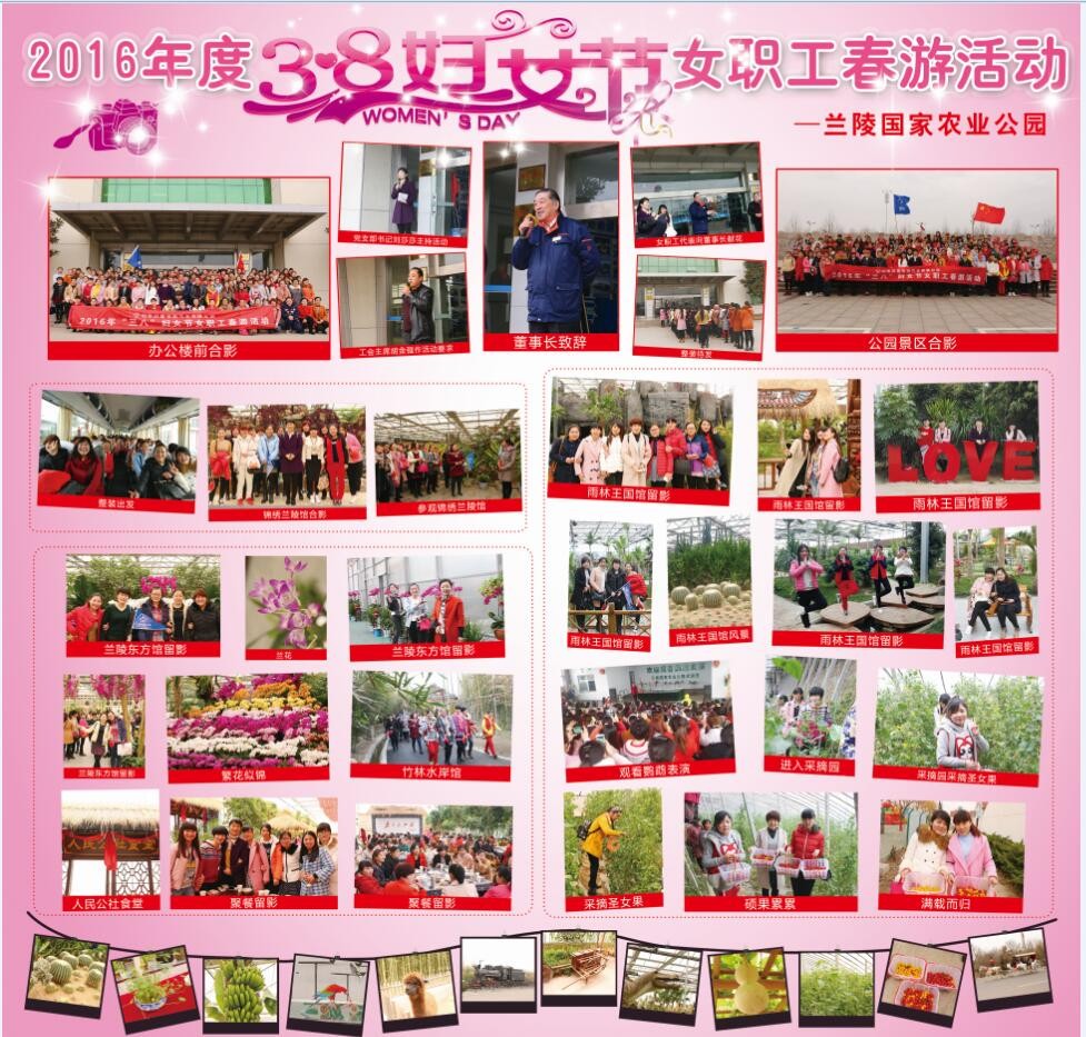 公司组织开展“妇女节”春游活动